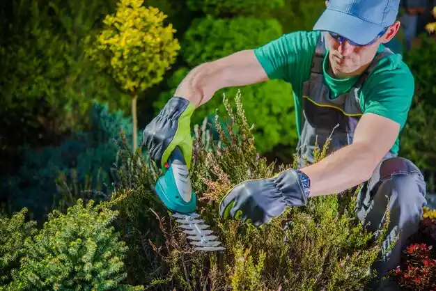 landscaping services Nellieburg